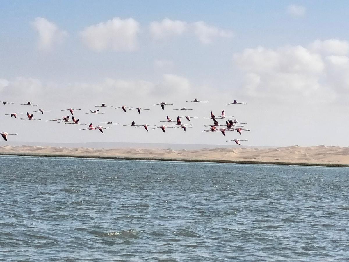 Hotel El Ghazi Tarfaya 외부 사진