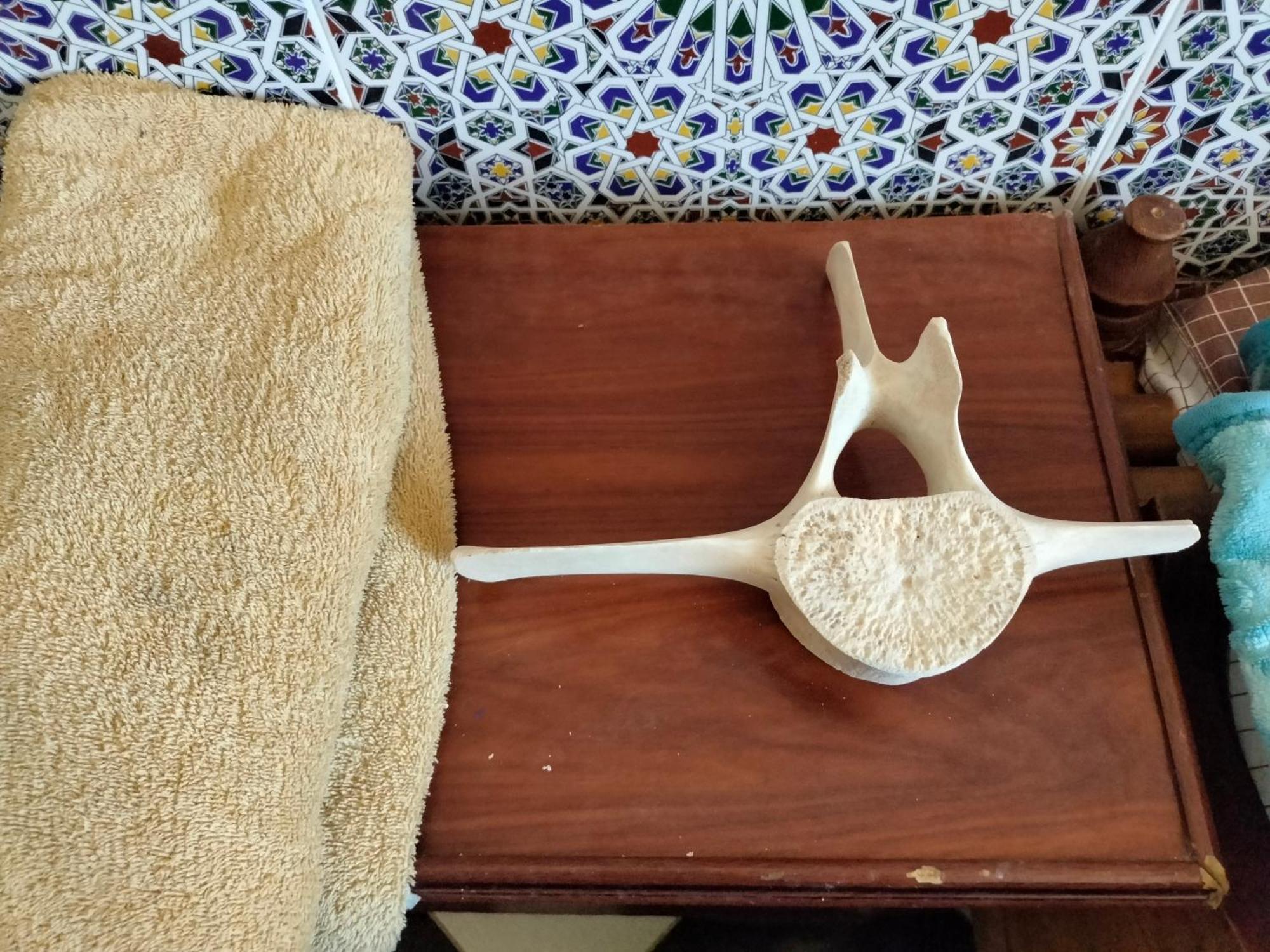 Hotel El Ghazi Tarfaya 외부 사진